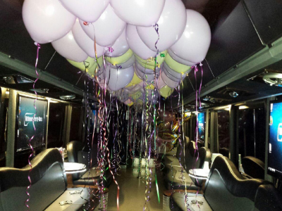 Party bus ideas in Chicago