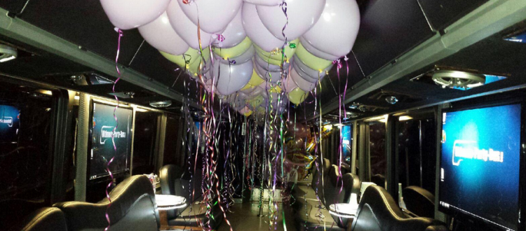 Party bus ideas in Chicago
